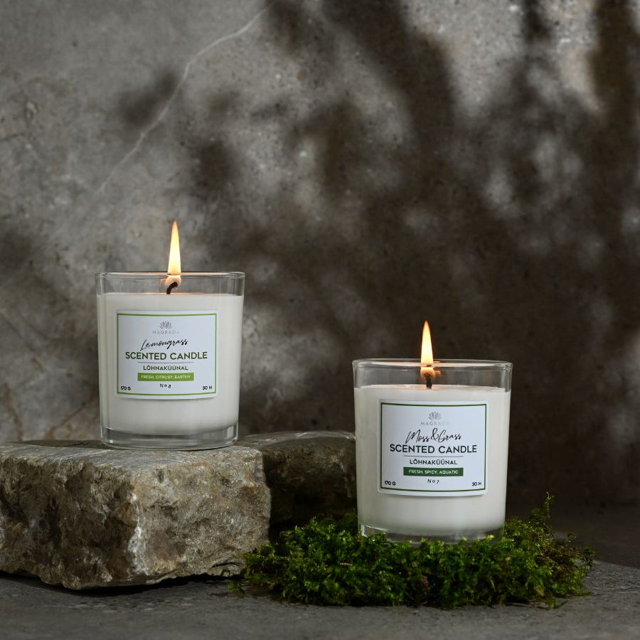 Lemongrass Scented Candle - 170 g